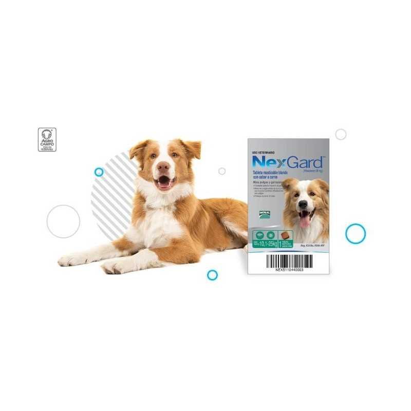 Nexgard antipulgas/garrapatas/ácaros, 1 Tableta masticable, de 10,1-25 kg