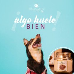 Monicandles vela neutralizador de olores 70 g