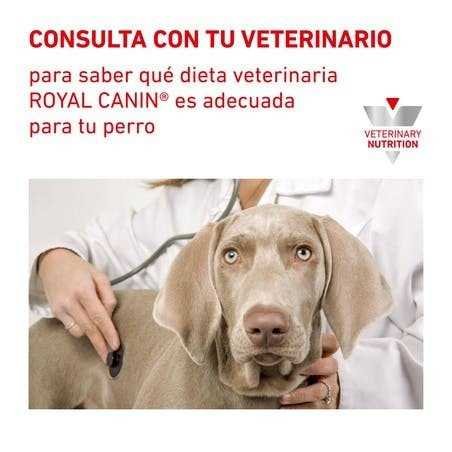 Royal Canin Urinary (Urinario), 2 kg. Comida para perros al mejor precio