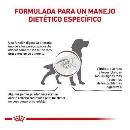 Royal Canin Gastrointestinal, 2 kg. Comida para perros al mejor precio