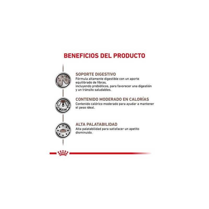 Royal Canin Gastrointestinal, 2 kg. Comida para perros al mejor precio