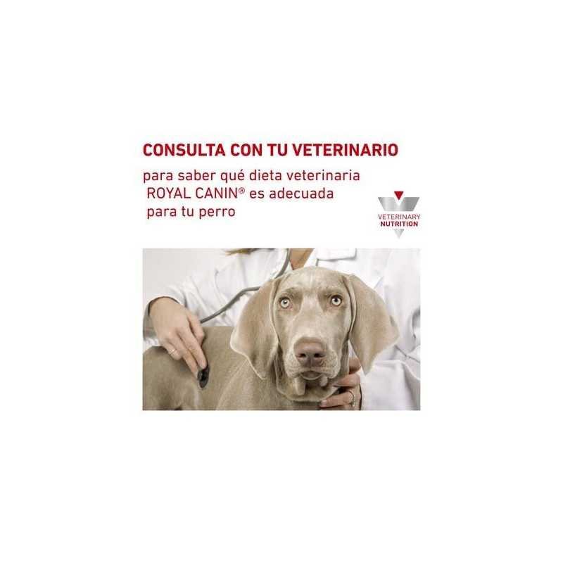 Royal Canin Hypoallergenic (Hipoalergénico) Húmedo Lata para Perro, 400 g