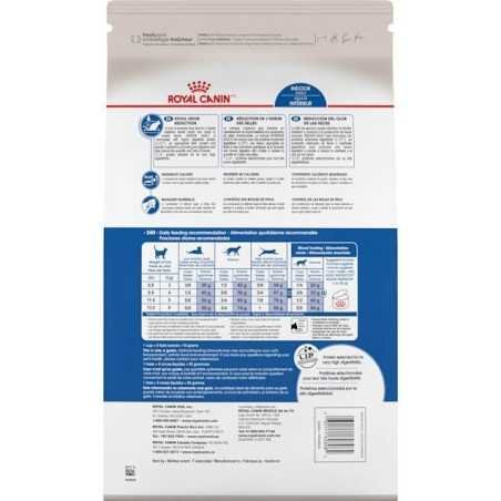 Royal Canin gatos Indoor (maduros +7 años), 1,5 kg. Alimento para gatos al mejor precio