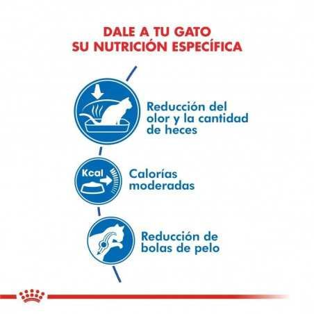 Royal Canin gatos Indoor (maduros +7 años), 1,5 kg. Alimento para gatos al mejor precio
