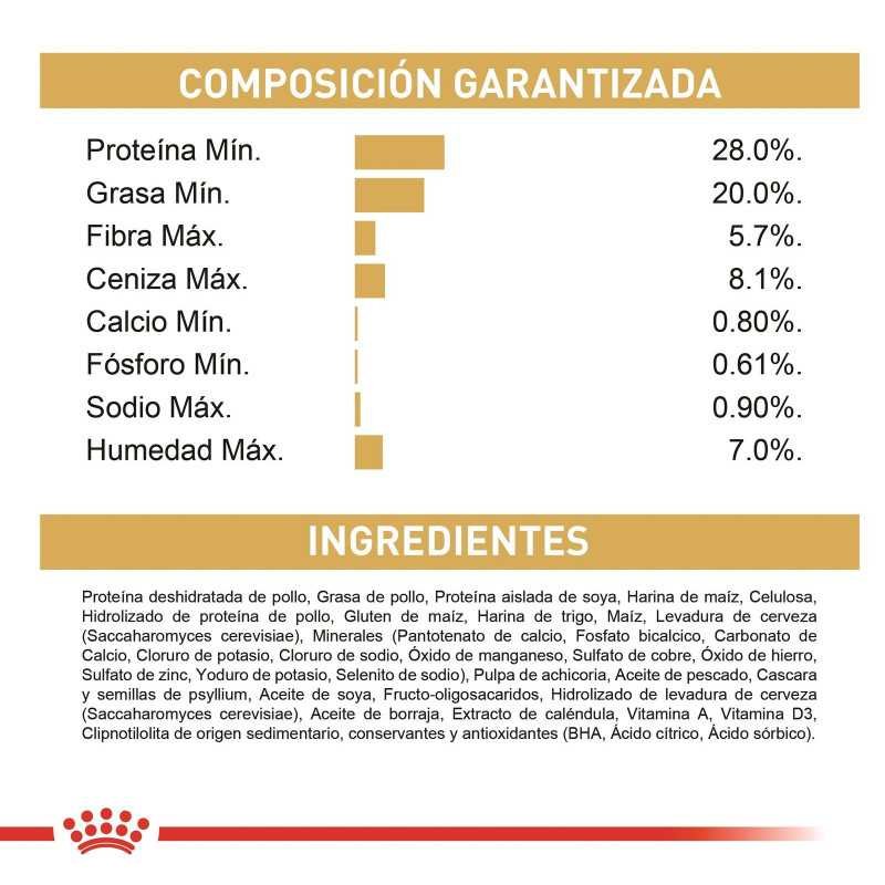 Royal Canin Persian gatos (persas adultos), 2 kg. Alimento para gatos al mejor precio